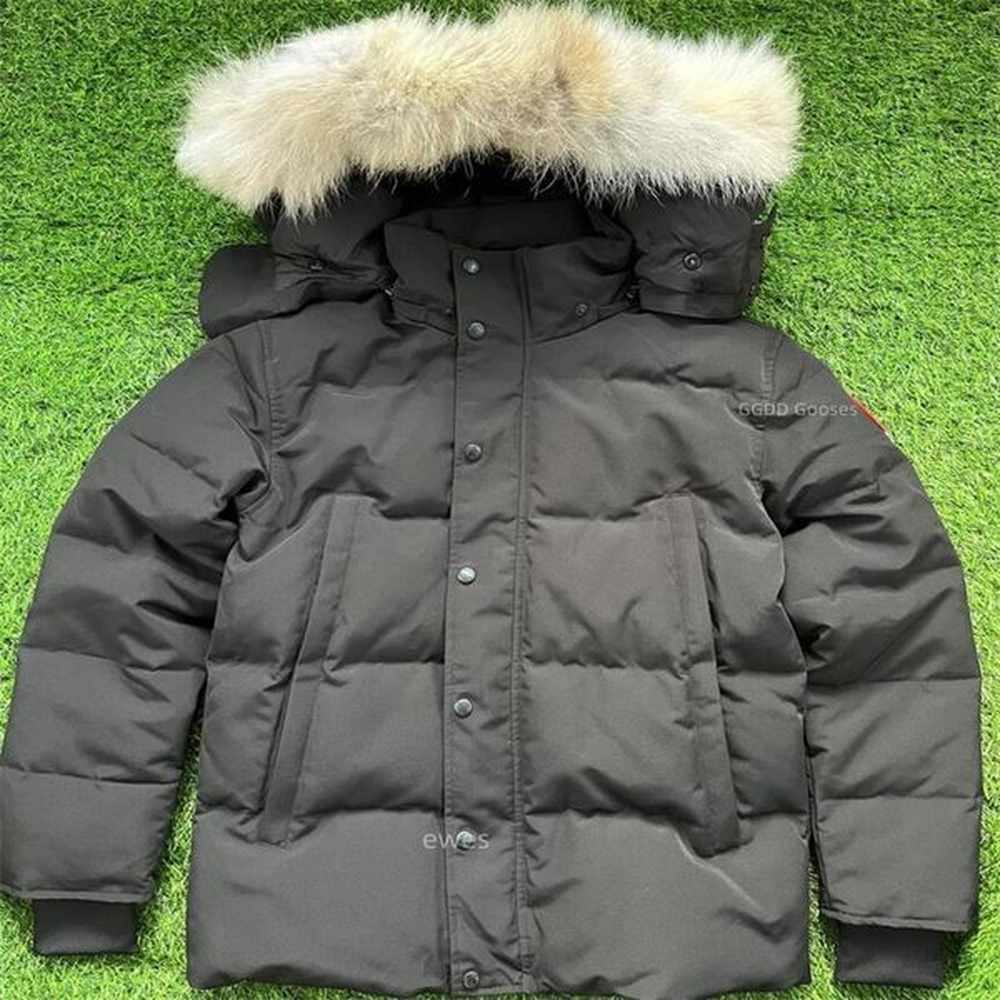 Canada Winter Fourrure Men Down Puffer Jacket Coats Real Coyote Fur Designer Homme Puffer Outdoor Windbreaker Jassen Outerwear Hooded Mantea