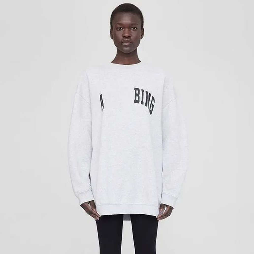 designer ab bing hooded sweater women cotton soft fleece hoodies