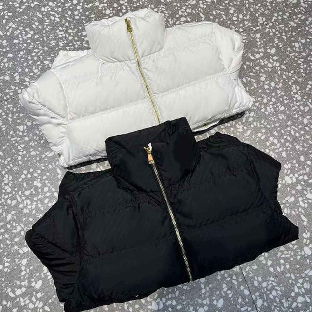 Designer Jacket Duck Down Jackets Winter Coat Woman Mens Stand Collar Puffer Jacket Down Warm Coats Casual Classic Coat Loose Slim Zipper