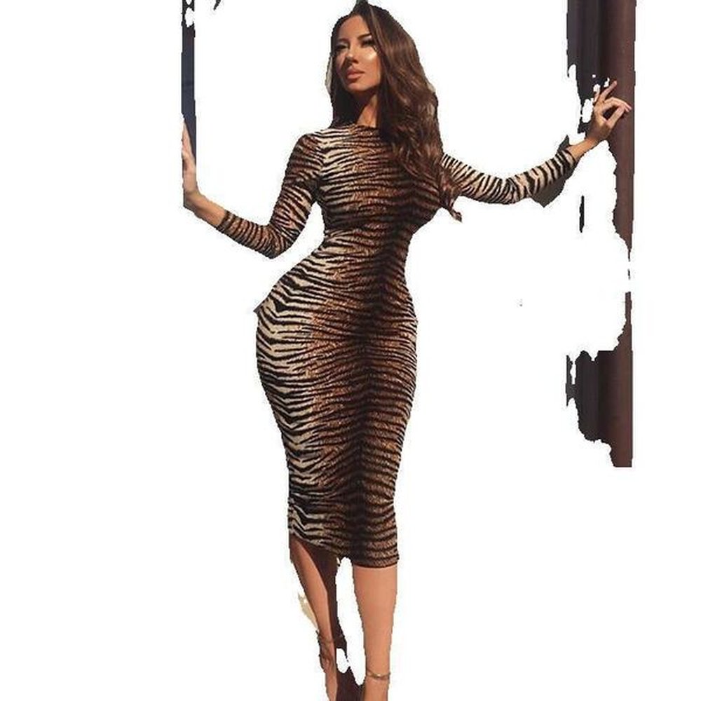 leopard autumnwinter new womens fashion leopard print long sleeve