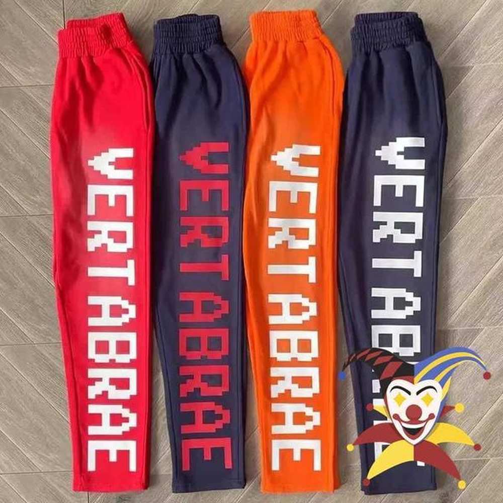 Men's Pants Red Blue Orange Vertabrae Sweatpants Men Women Pants Jogger Sweat Pants Terry Trousers T240907