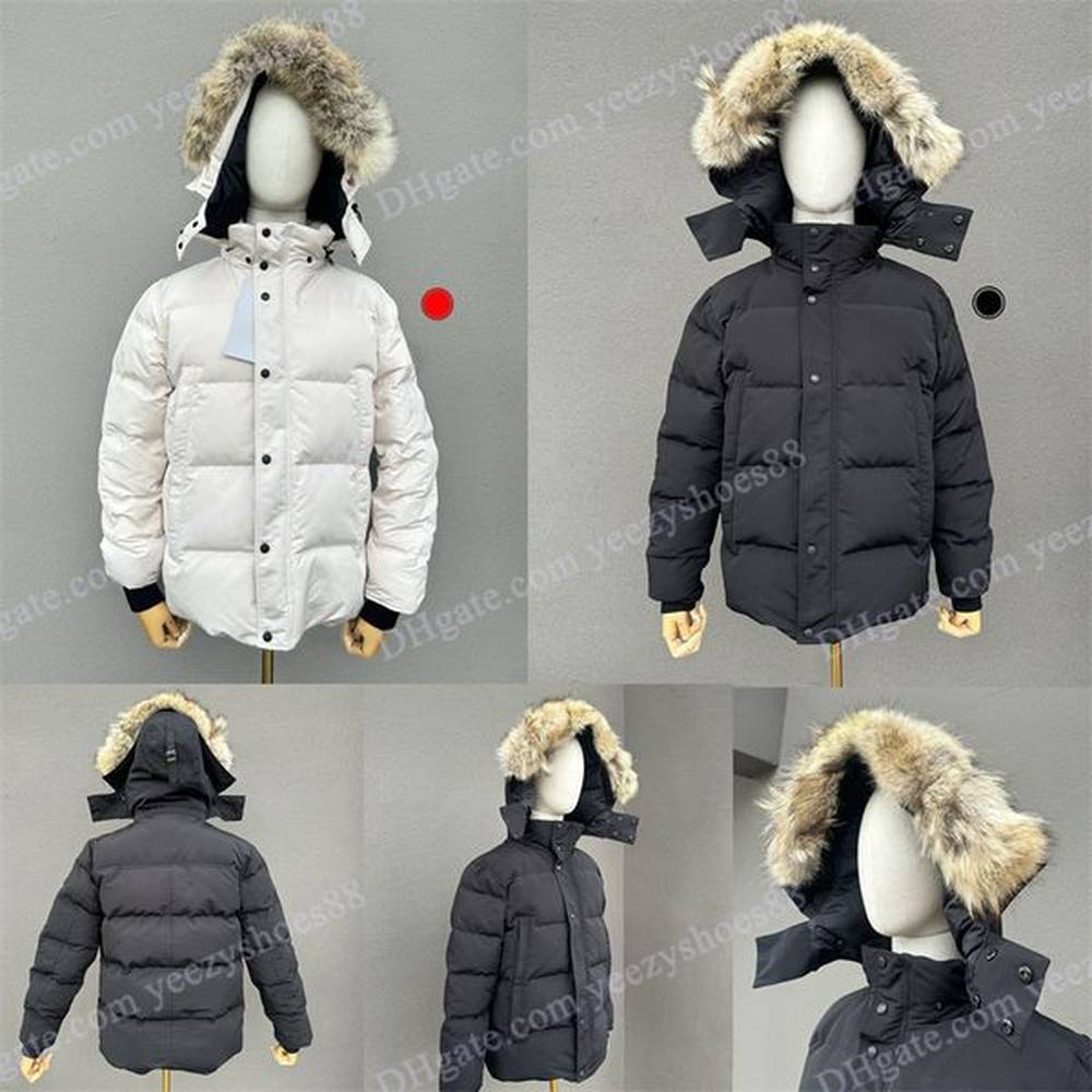 Parka Jackets Winter Puffer wyndham Hooded Thick Coat Jacket Gentlemen Warms Cold Coats Protection Windproof Mens Down woman