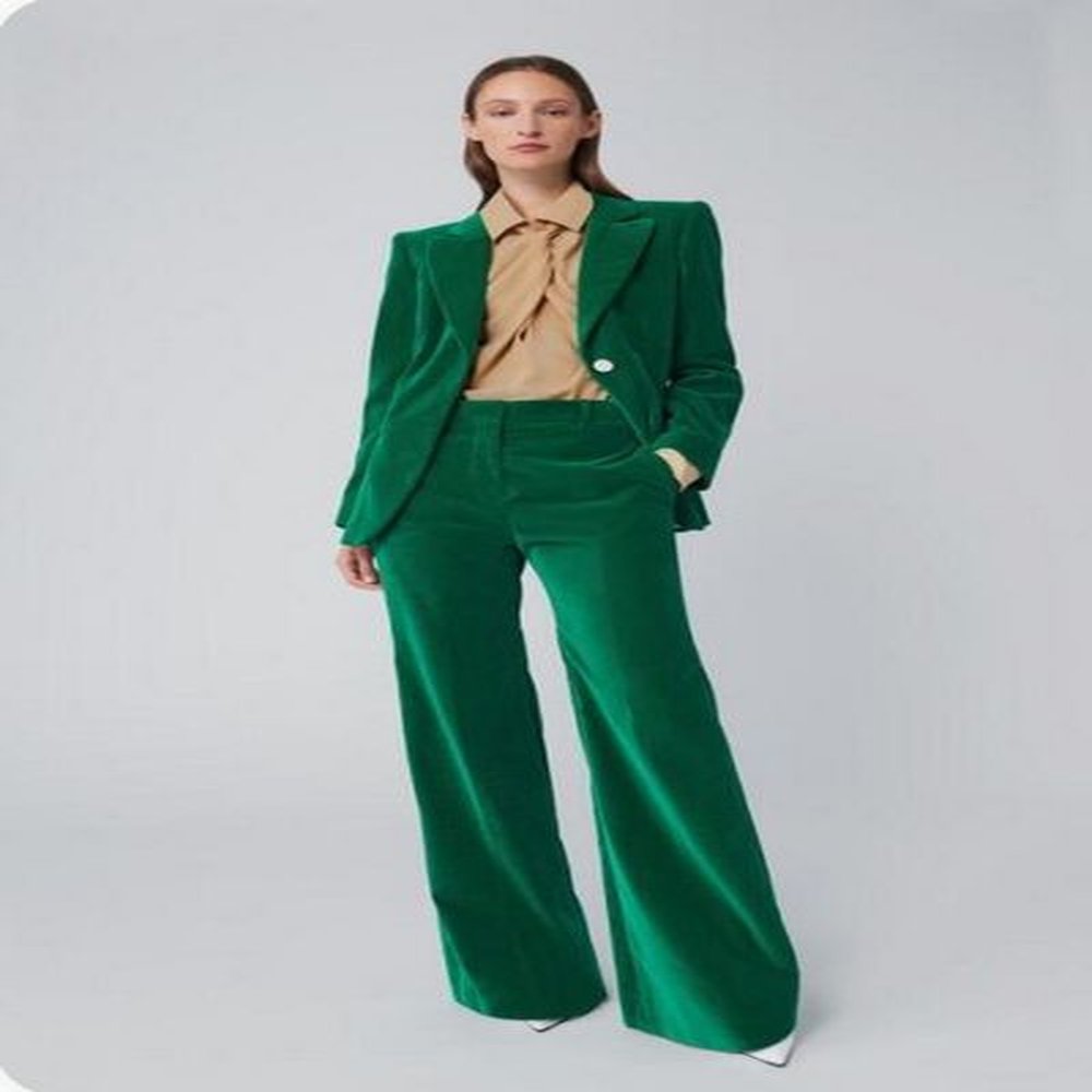 pcs velvet hot women business suits party business pantsuits