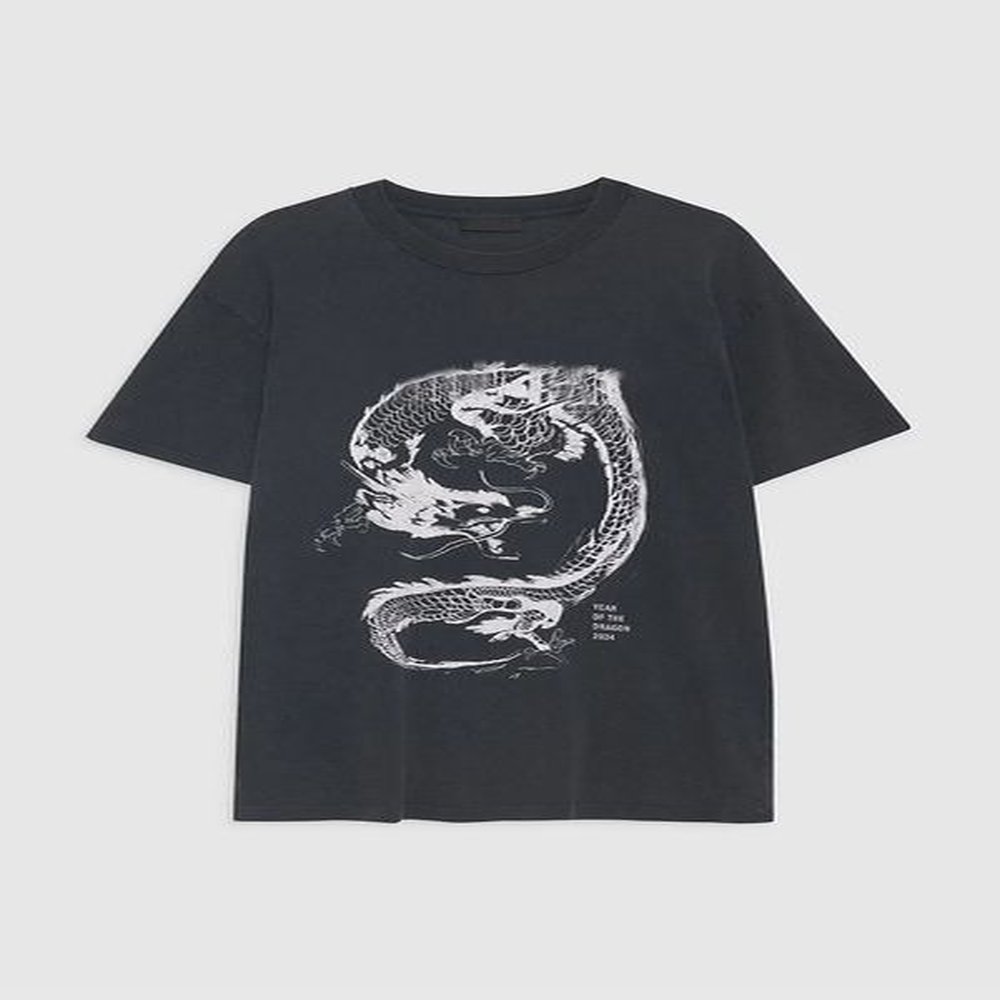 ss dragon print t shirt stirfrying snowflake washing tee women